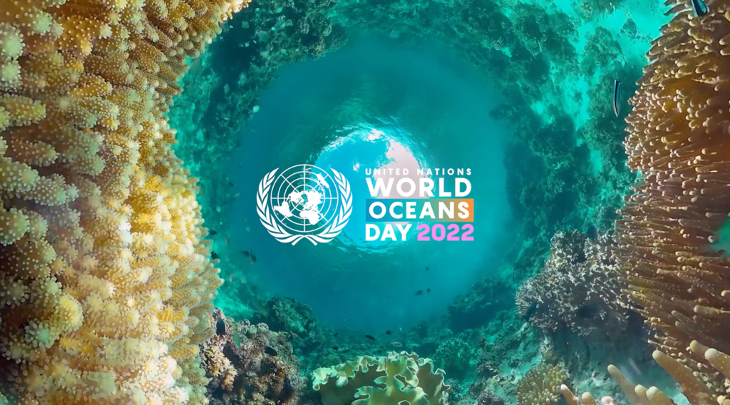 2022 World Oceans Day: Optics for the Ocean