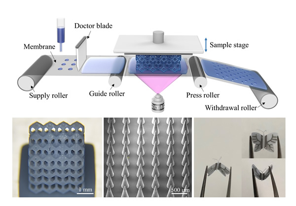 Roll-to-plate projection micro stereolithography