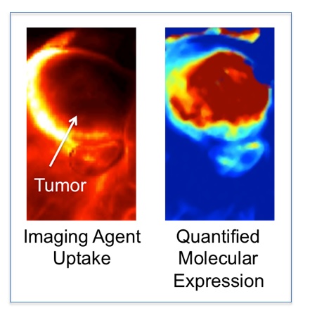 Reducing Drug Trial Costs with Imaging Technology